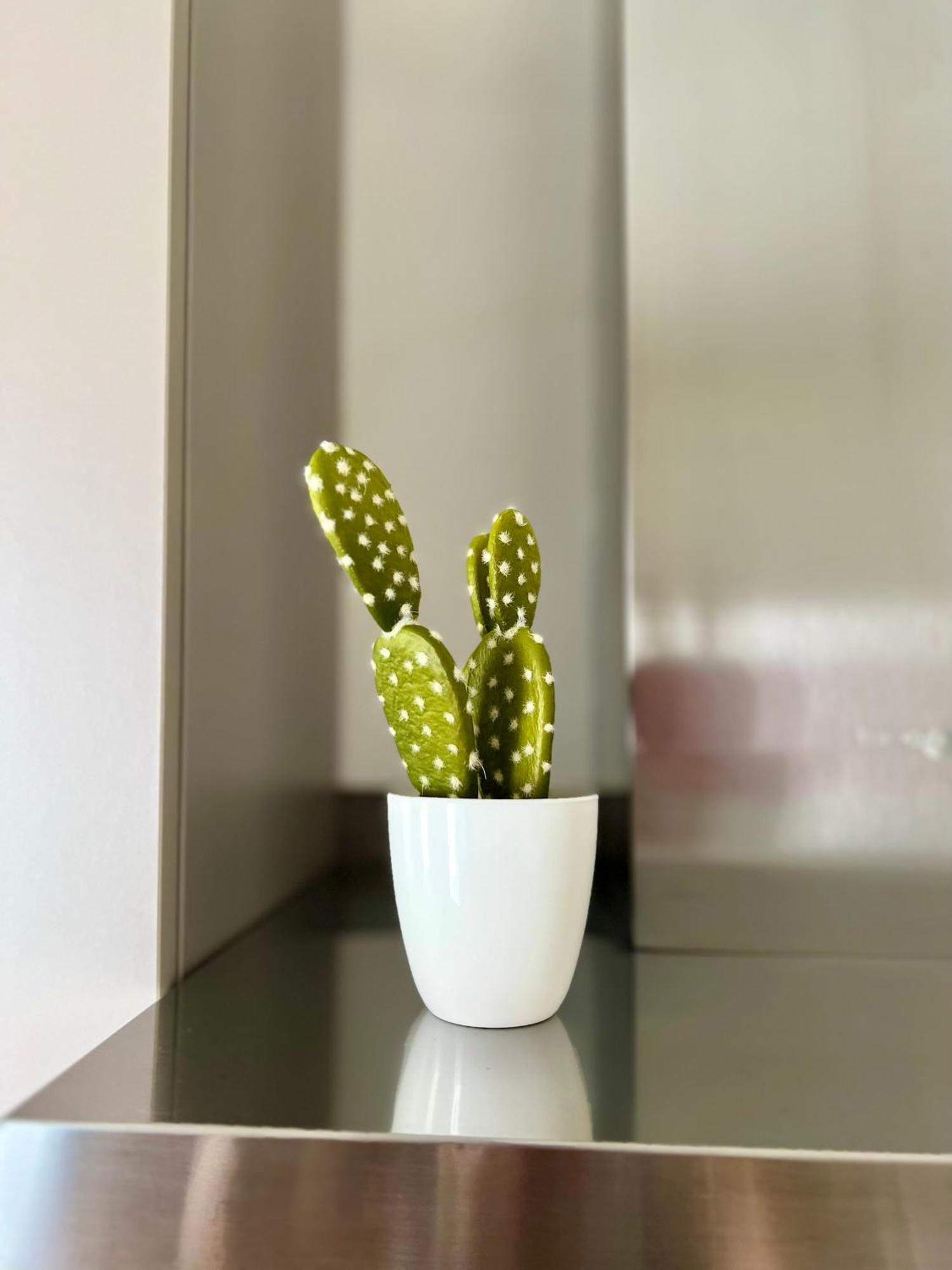 Appartamento De Gasperi House - *